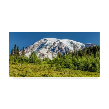 Trademark Fine Art Pierre Leclerc 'Rainier Summer' Canvas Art, 10x19 PL00406-C1019GG
